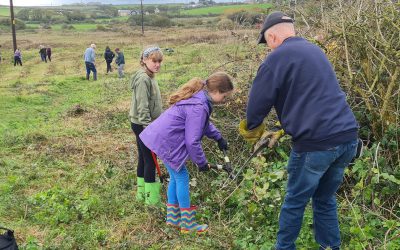 Conservation activties @ Gwithian Green