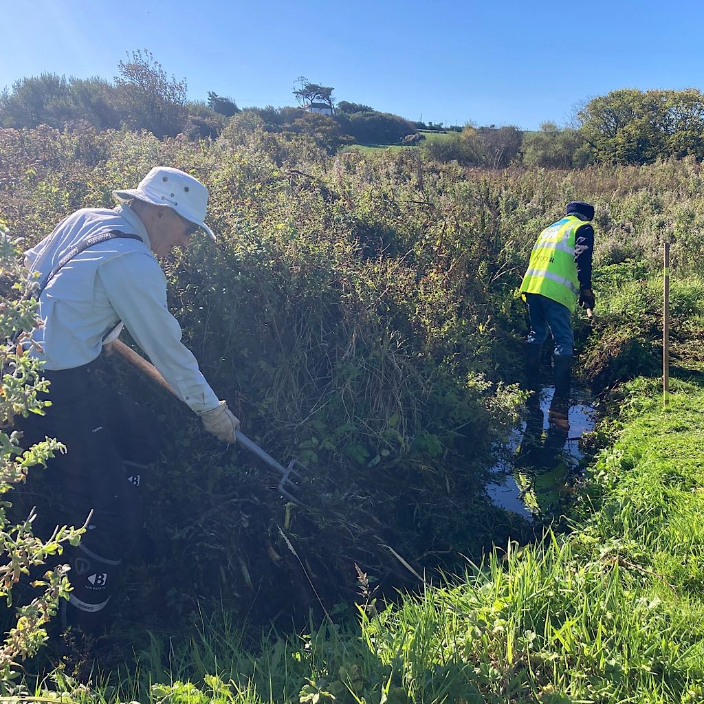 A sunny meadow with two people standing in the stream clearing plants