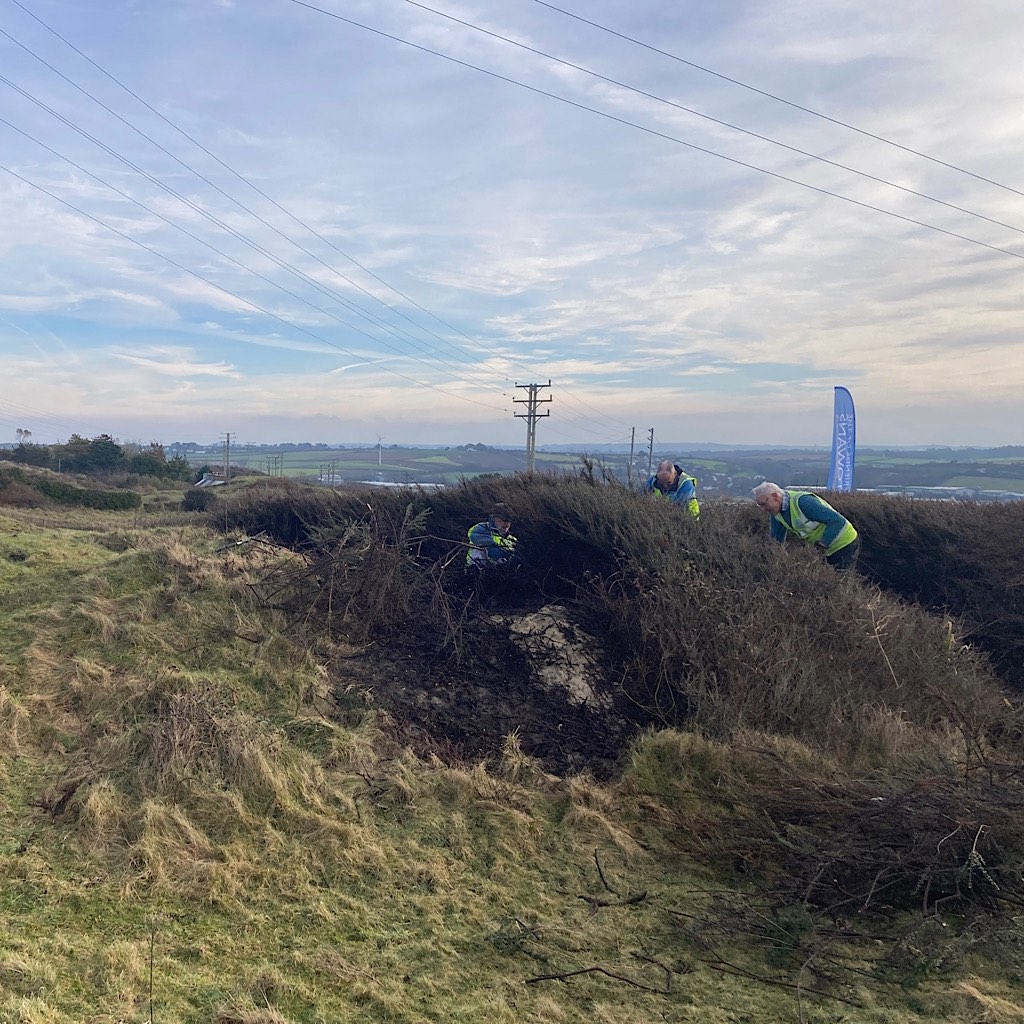 Three people cutting a large cotoneaster bush on sand dunes with lightly cloudy blue sky and distant inland view of surrounding countryside