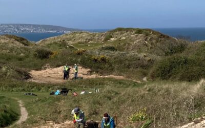 Practical conservation session – Gwithian Towans