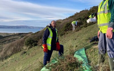 Practical conservation session – Godrevy Warren