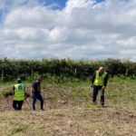 people trampling bracken plants