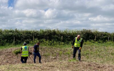 Practical conservation session
