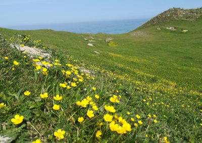 Gentle slopes at Upton Towans