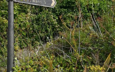 North Quay Garden Creation Project