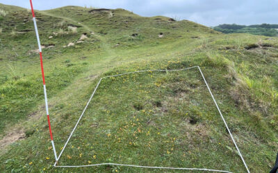 Weekly Habitat Survey