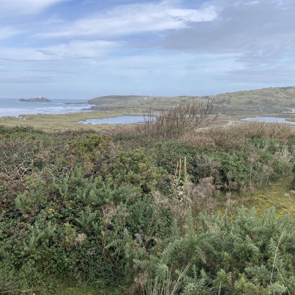View over St Gothian Sands View over sand dunes to coast showing bushes, wildlife pond and Godrevy Island in the distance