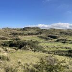 rectangular bunkers on Upton Towans sand dunes in the sunshine