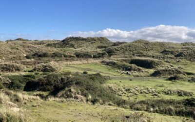 Practical conservation session – Upton Towans