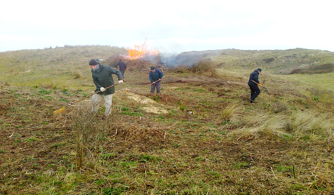 Controlled Gorse burn
