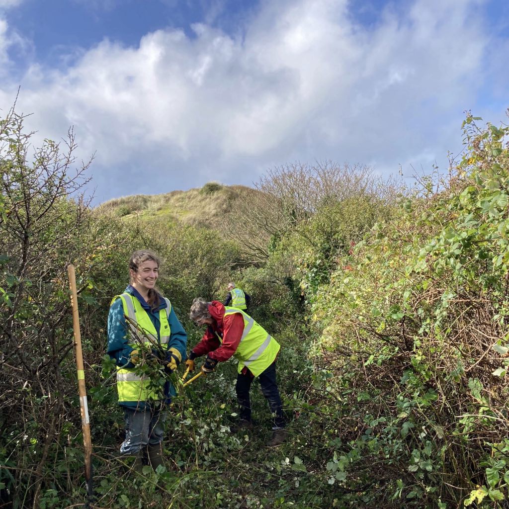 A sunny day with three people cutting vegetation along a path lush with greenery backed by sand dunes and blue sky with wispy clouds